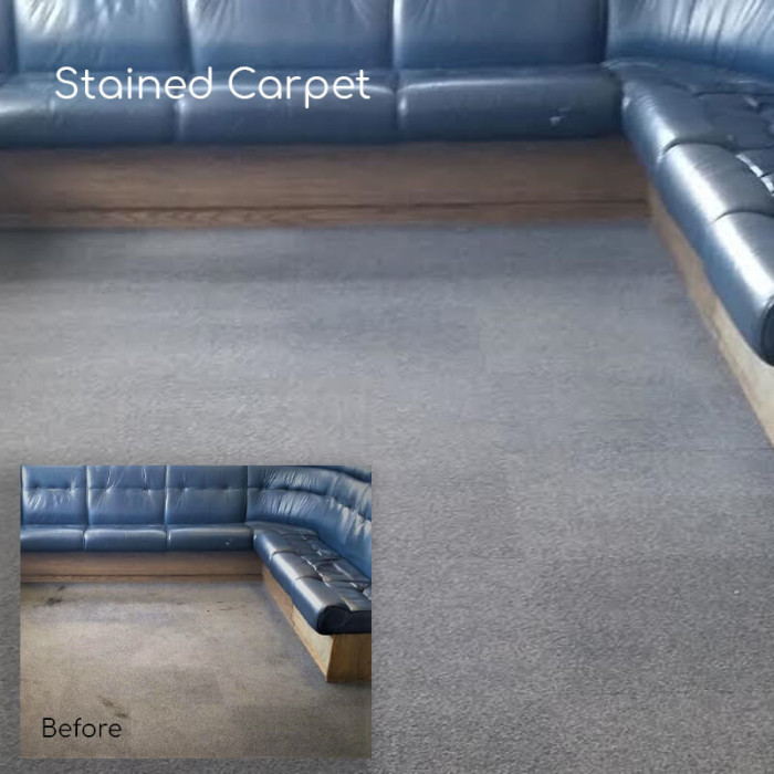 Stained Carpet