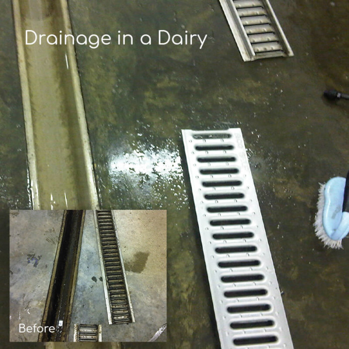 Drainage in a Dairy